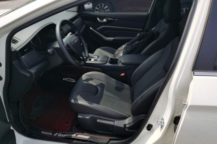 Used Venucia D60 2023 PLUS 1.6L XE CVT Trendy Edition Left Front Seat