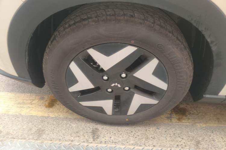 Used Wuling Bingo S 2025 Model 325km Flagship Edition