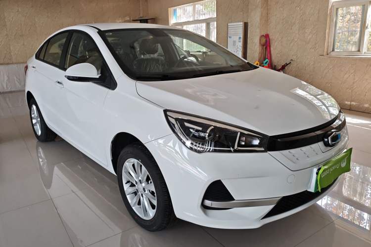 Used SINOGOLD Junxing 2023 Standard Model Front Right 45 Deg