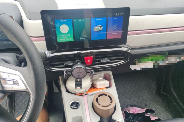 Used SOL E10X 2022 Flower Fairy Design Four-Leaf Clover Audio And AC Panel