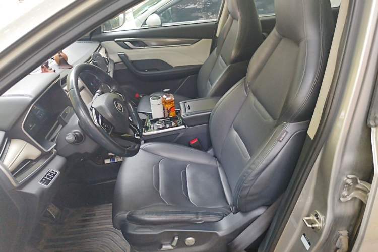 Used WM Motor EX5 2021 EX5-Z Fun Dynamic Edition
