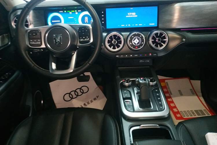 Used Tank 300 2024 2.0T Conqueror
