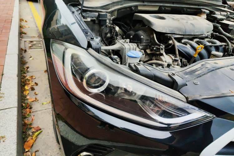 Used Hyundai Elantra (6th Generation / Lingdong) 2016 1.6L Manual ZhiXuan · Dynamic Model
