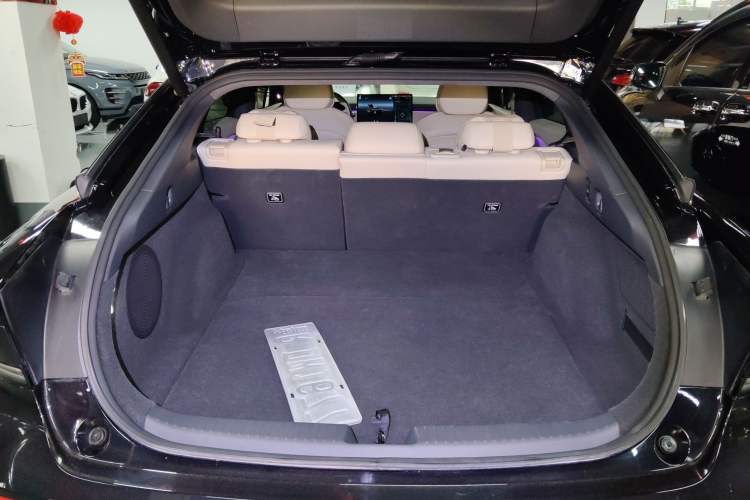 Used XPeng P7+ 2024 Long-Range Max
