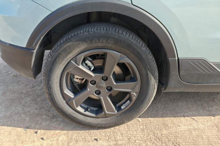 Used Geometry E Firefly 2022 401 km Linglong Tiger 4 Seats