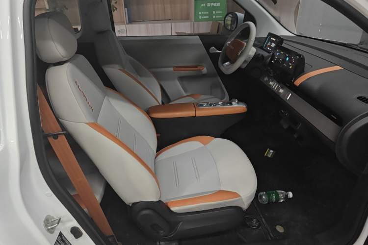 Used Qiyuan Lumin 2025 301km Honey Dew Edition
