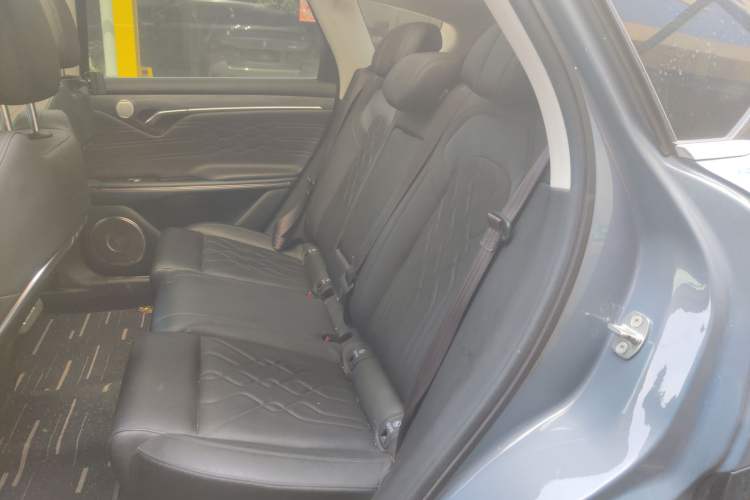 Used VOYAH FREE 2021 Four-Wheel Drive Standard Range-Extended Exclusive Luxury Package