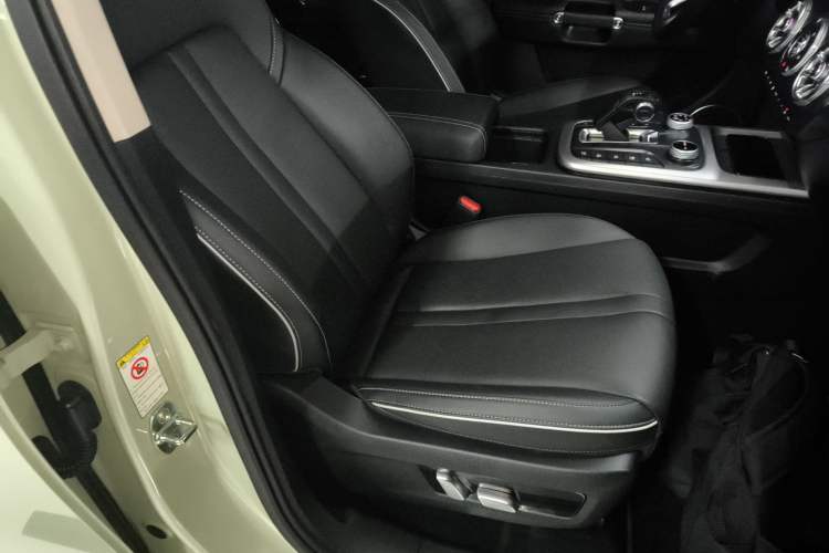 Used Tank 300 2024 2.0T Crosser
