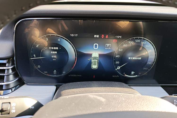 Used Hongqi HS5 2025 2.0T Two-Wheel Drive 600 000-Vehicle Commemorative Edition