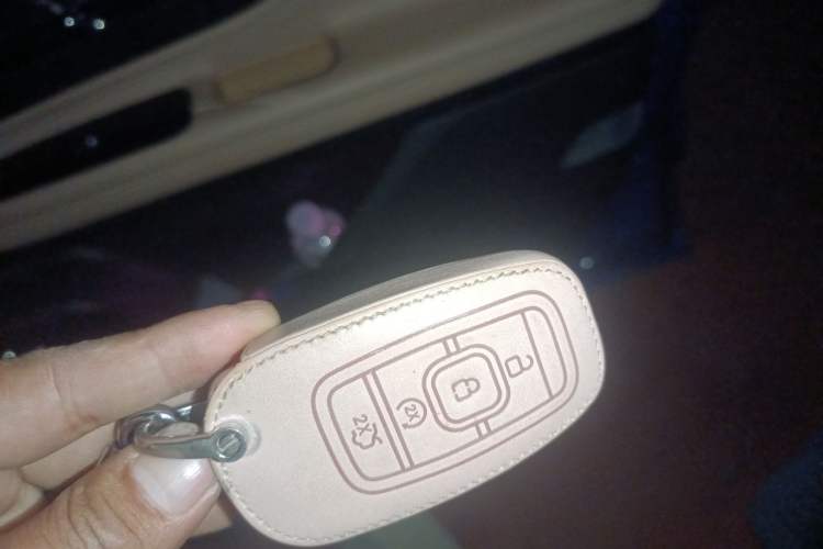 Used Lincoln Corsair 2020 2.0T Two-Wheel Drive Luxury Edition