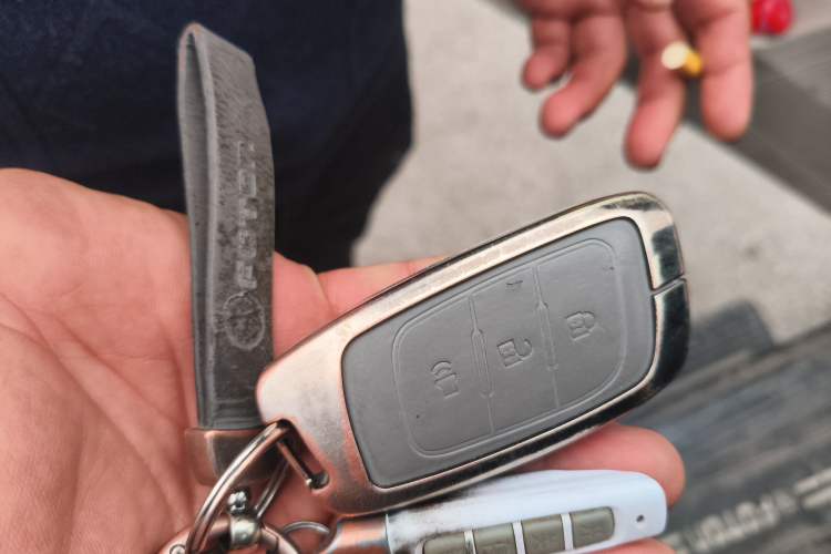 Used Foton General G9 2022 2.0T Automatic 4x4 Luxury Edition Standard Box 4G20TI5
