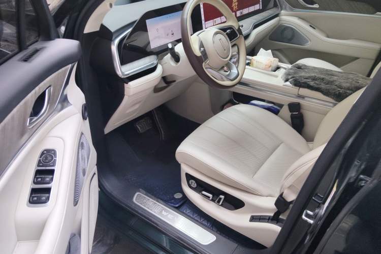 Used Wey Lanshan 2023 Two-Wheel Drive Long-Range Version Left Front Seat