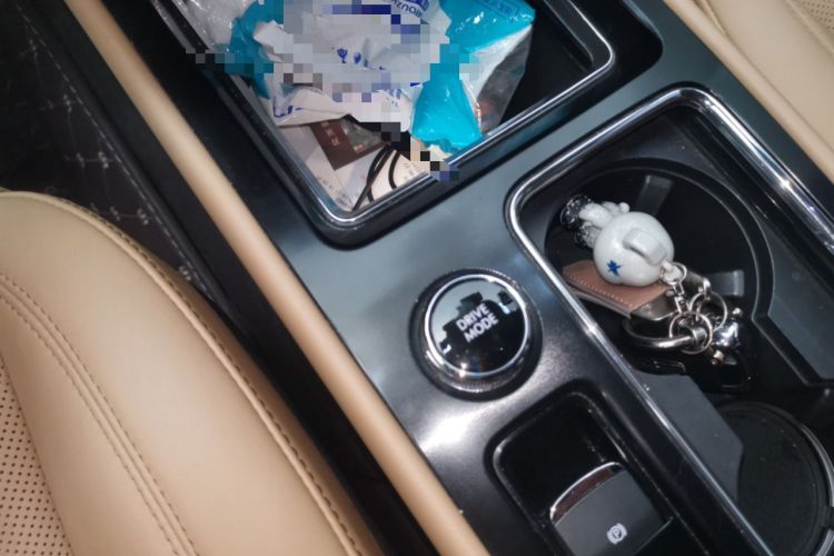 Used Lincoln Corsair 2020 2.0T Two-Wheel Drive Luxury Edition
