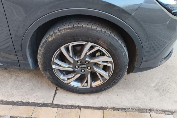 Used Lincoln Corsair 2023 2.0T Two-Wheel Drive Luxury Edition
