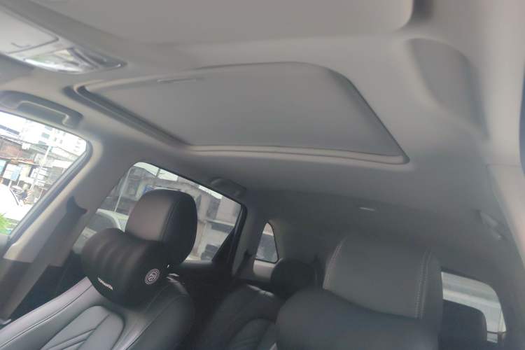 Used Landian E5 2024 Honor Edition 100KM Comfort Model 7 Seats