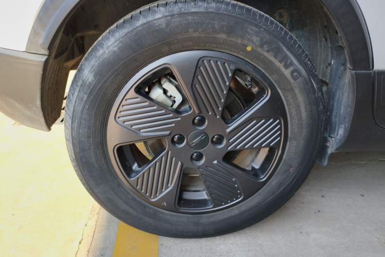 Used Geometry E Firefly 2022 401KM Lightning Tiger 4-Seater
