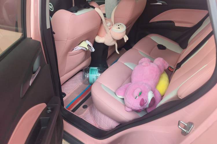 Used NETA V 2021 Witch Edition Left Rear Seat