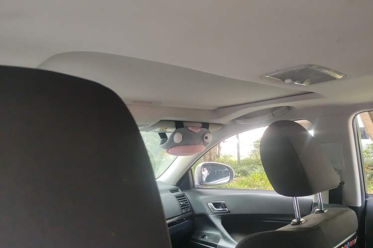 Used Toyota Reiz 2010 2.5S Fashion Elite Edition Headliner