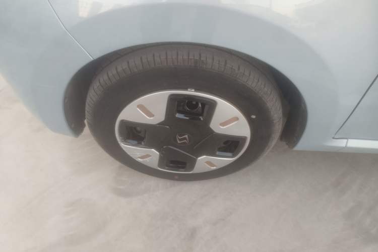 Used SOL E10X 2022 Flower Fairy Design Four-Leaf Clover
