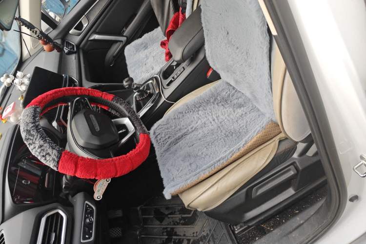 Used Baojun RS-5 2019 1.5T Manual Super Connectivity Version China VI Left Front Seat