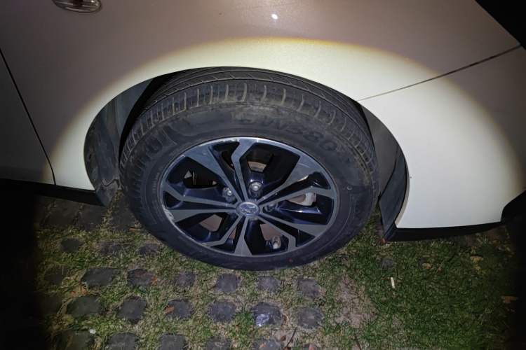 Used Venucia D60EV 2019 High-Range Travel Edition
