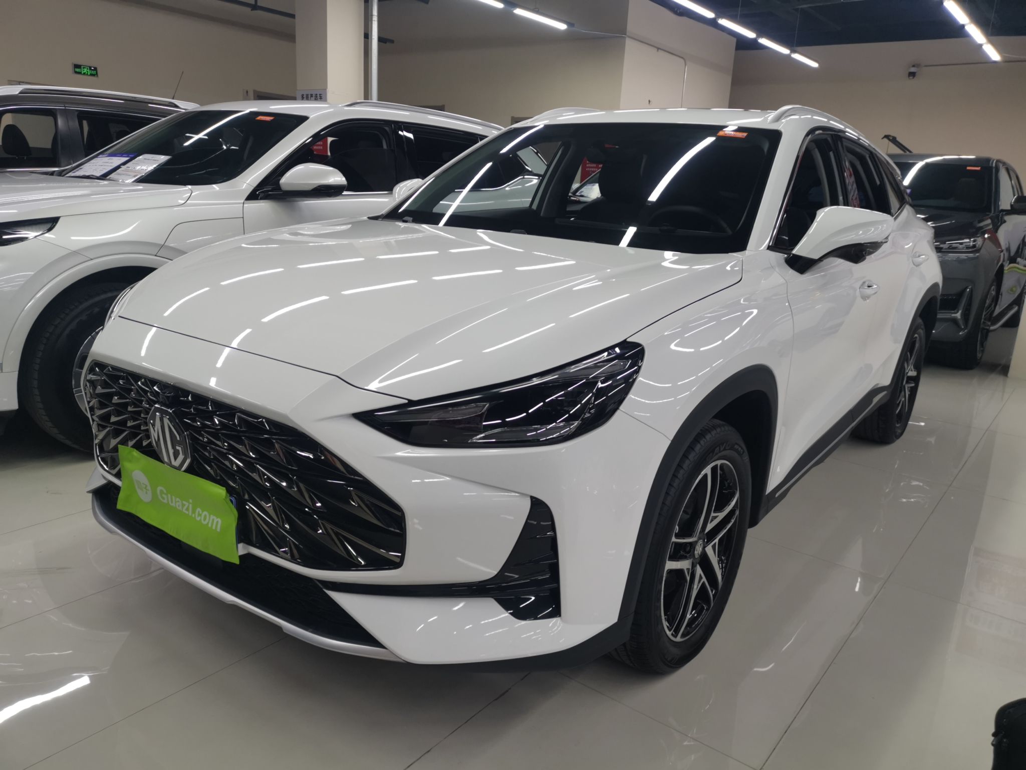 Parte inferior delantera