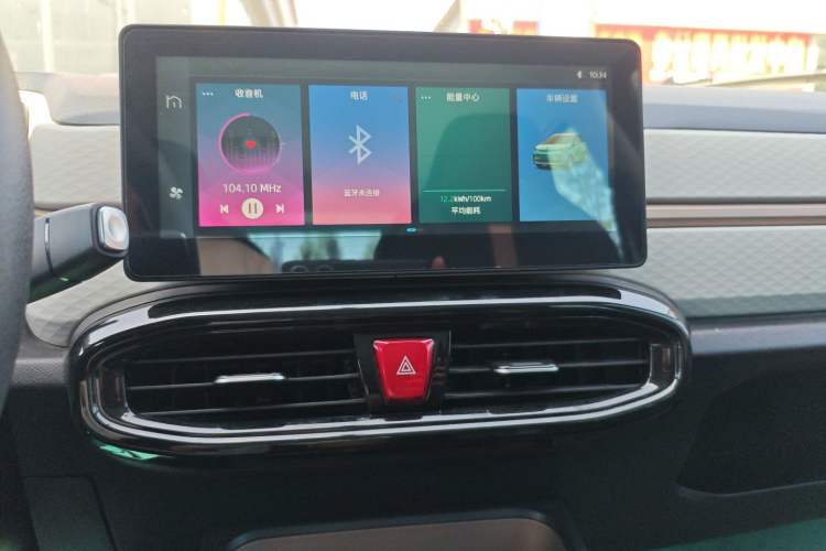 Used SOL E10X 2022 Flower Fairy Design Four-Leaf Clover
