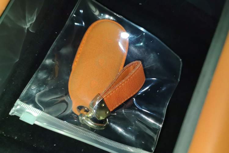 Used Li Auto L9 2022 Max model
