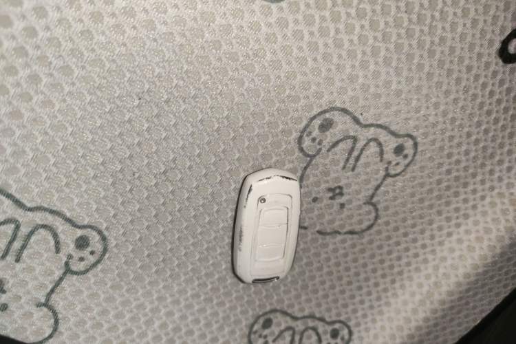 Used Geely Galaxy Panda 2024 Panda Mini 200km Endurance Bear Vehicle Key