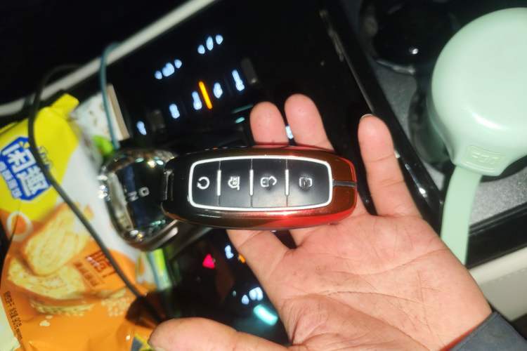 Used Denza D9 2022 DM-i 1040 Prestige Model
