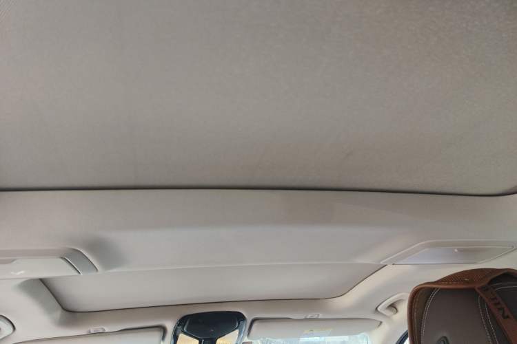 Used BMW 5 Series 2019 Facelifted 530Li Leading Edition Luxury Package Headliner