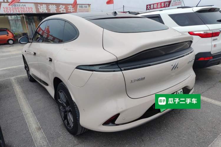 Used IM LS6 2023 Max Extended-Range Version
