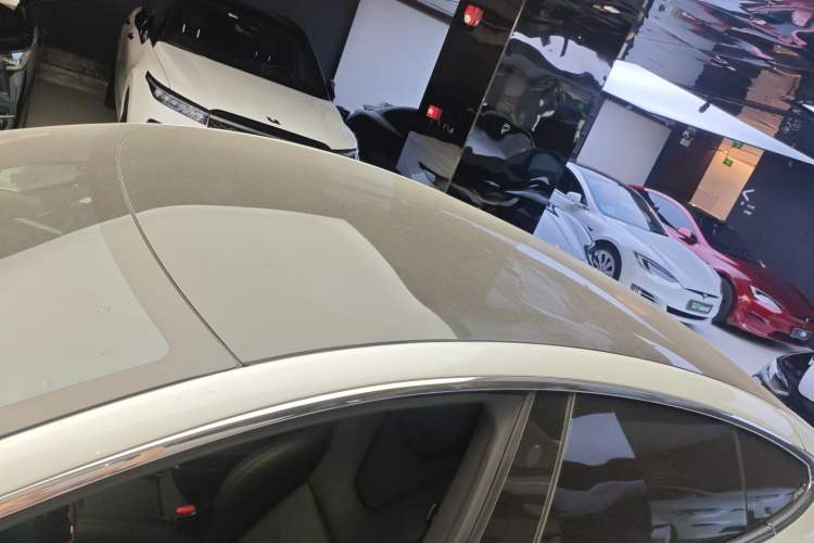 Used Tesla Model S 2019 Standard Range Version
