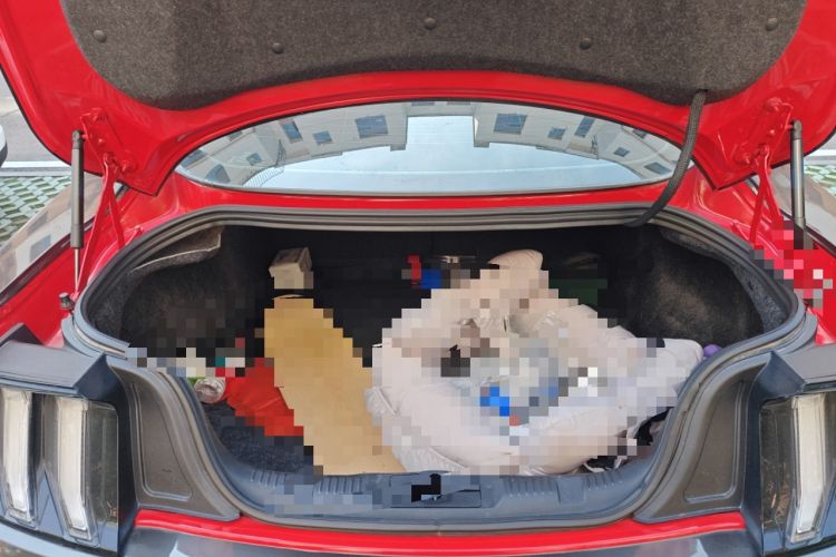 Used Ford Mustang 2021 2.3T EcoBoost Trunk