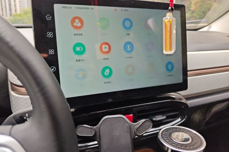 Used SOL E10X 2022 Flower Fairy Design Four-Leaf Clover