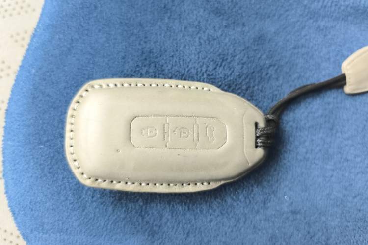 Used Ford Territory EV 2020 YAO LING Model Vehicle Key
