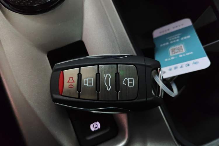 Used Haval DARGO 2024 2.0T DCT Chinese Rural Dog Edition
