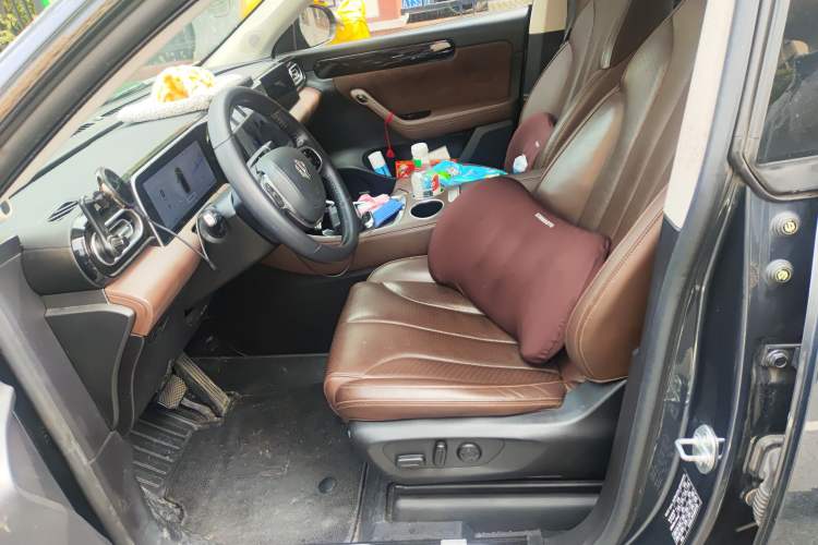 Used Leapmotor C11 2023 Pure Electric 500 Comfort Edition
