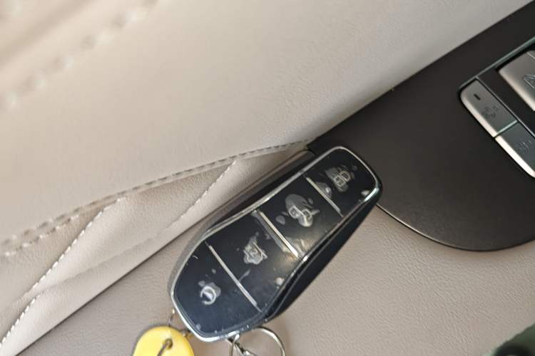 Used BYD Tang New Energy 2025 Intelligent Driving Version DM-i 115KM Flagship Edition