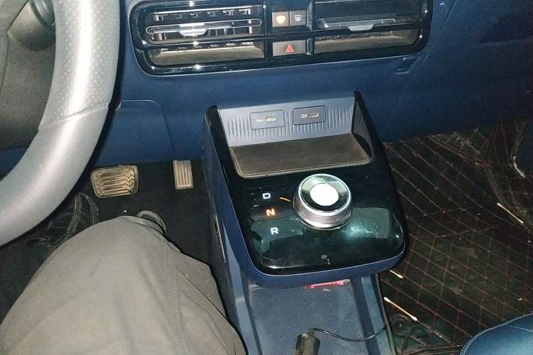 Used Geometry E Firefly 2022 320KM Cute Tiger 4-Seater
