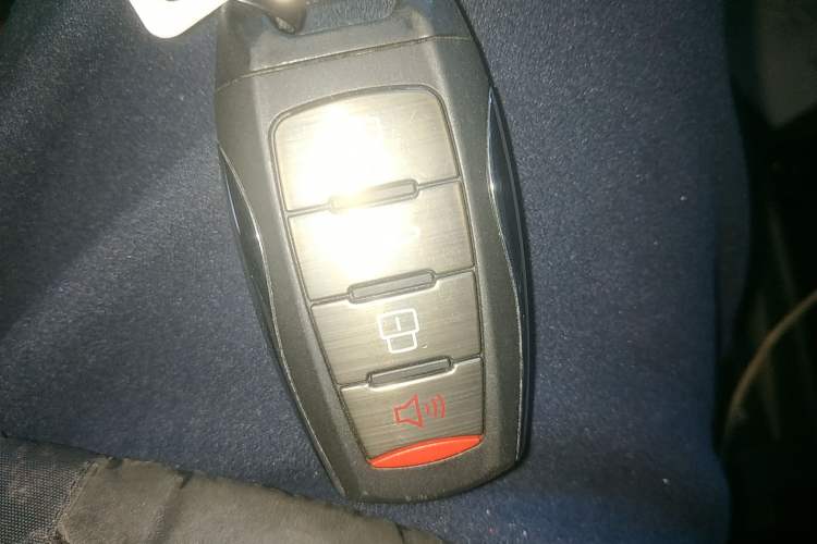 Used ORA White Cat 2020 401 km Long-Range Version Vehicle Key