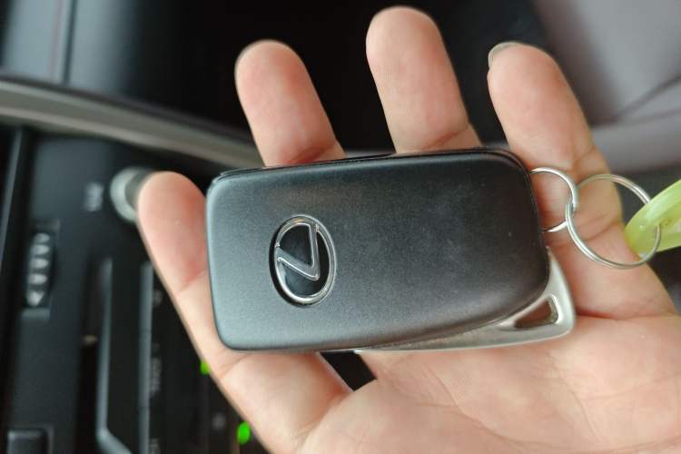 Used Lexus RX 2021 300 Four-Wheel Drive Special Edition
