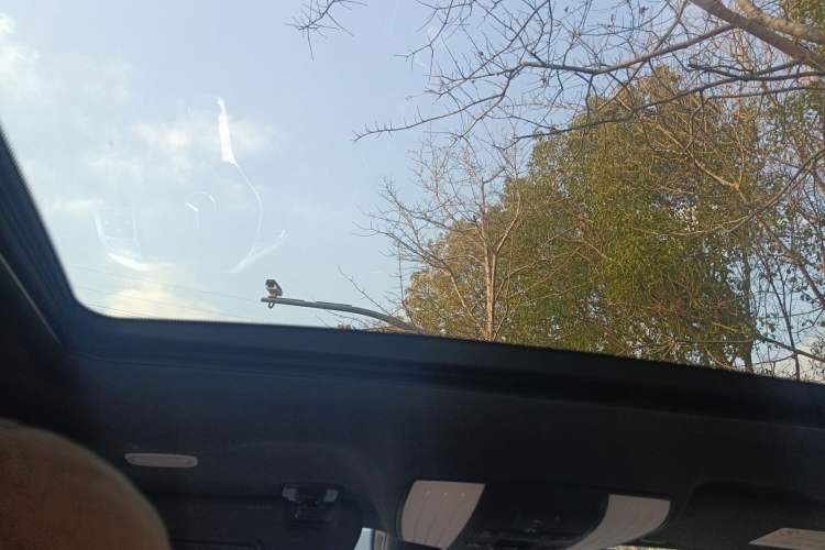 Used Mercedes-Benz CLS 2013 CLS 350 Shooting Brake Fashion Edition Headliner