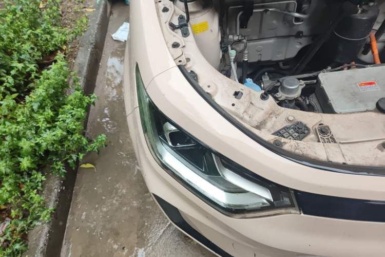 Used SOL E10X 2022 Flower Fairy Style Baby's Breath