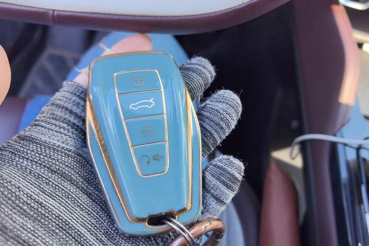 Used Geely Auto Monjaro L 2021 2.0TD DCT EVO Two-Wheel Drive Prestige Version