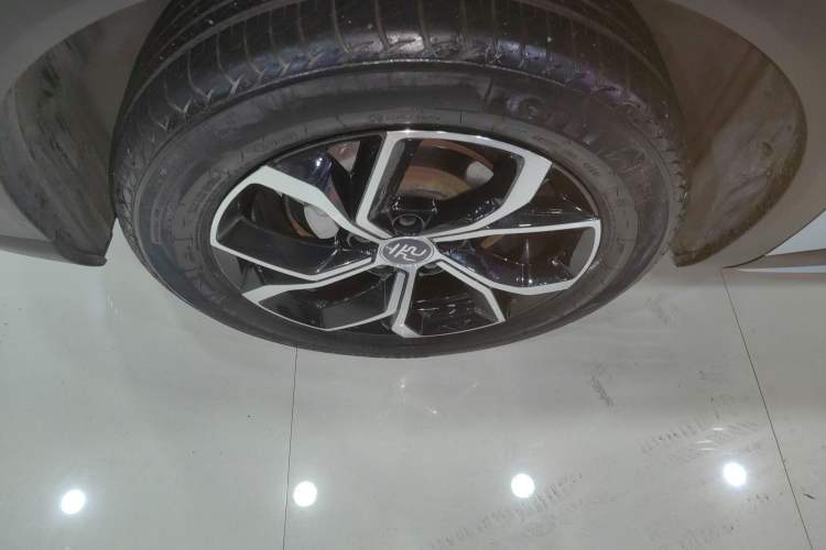 Used BYD Yuan PLUS 2022 510 km Luxury Version Exterior 1