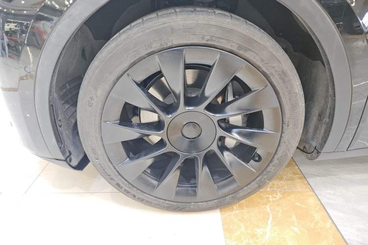 Used Tesla Model Y 2021 Standard Range Rear-Wheel Drive Version
