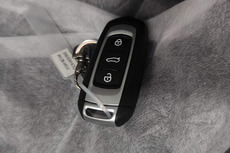 Used Geely Galaxy Panda 2024 Panda Mini 200km Endurance Bear Vehicle Key