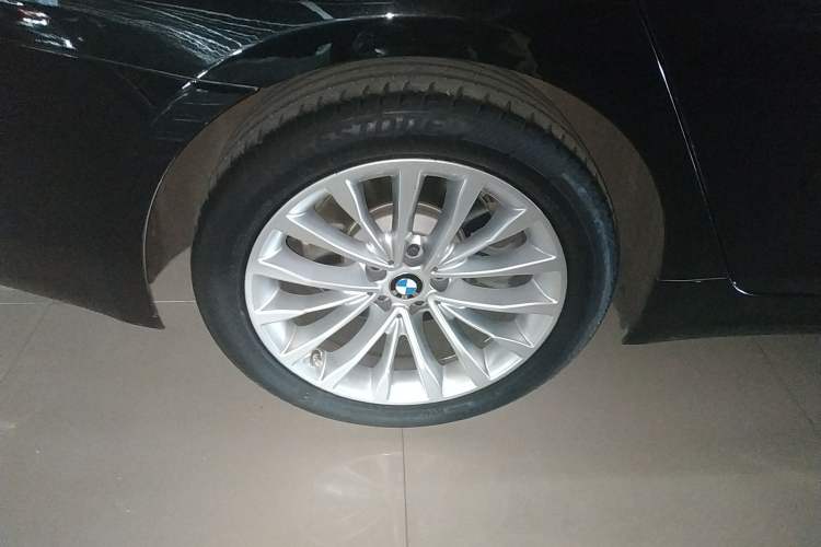 Used BMW 5 Series New Energy 2020 530Le Luxury Package