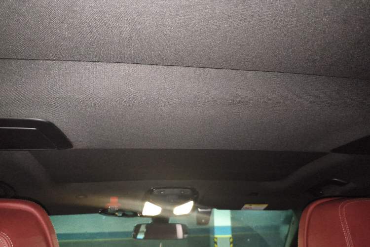 Used BMW 5 Series 2022 Second Facelift 530Li Luxury Version M Sport Package Headliner